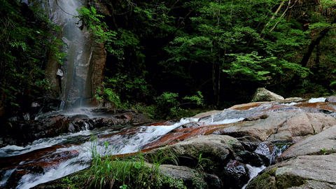 🏞️ 이와야도 공원 (이와야도코엔) 이미지 8